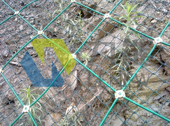 �������Է��o(h��)�W(w��ng)