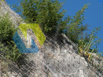 SNS����߅�·��o(h��)�W(w��ng)