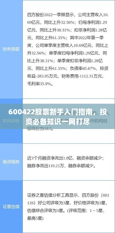 600422股票新手入門(mén)指南，投資必備知識一網(wǎng)打盡