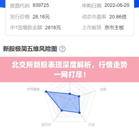北交所新股表現深度解析，行情走勢一網(wǎng)打盡！
